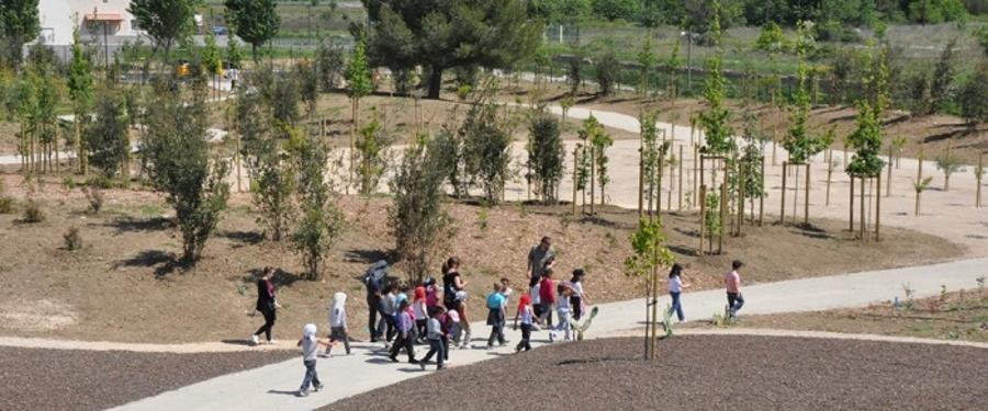 L'ARBORETUM DE LUNEL